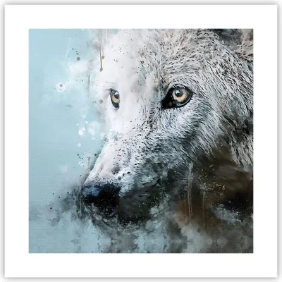 Produktbild von Poster - Poster ohne Rahmen - Weiß Der Wolf Bild - 40x40 cm - Wand Bild - Wanddeko - Wandbilder - Kunstposter - Wandposter - Bilder - Kunstdruck - Wanddekoration - Wandbild - P2XAC40x40-4623