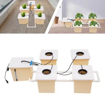 Image de Culture hydroponique en pot blanc - Système DWC avec pompe à eau pour la culture de légumes et de fleurs