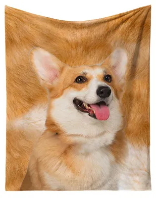 Imagen del producto de Manta suave de microfibra, 150x200 cm - Diseño de Welsh Corgi