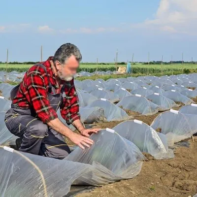 Produktbild von Klemmen für Gewächshäuser und PVC-Rohre, Schnappgriffklemmen für Reihenabdeckungen, Unterstände, Frühbeete und Gartenschutz, robuster Kunststoff (12,7 mm), 32 Stück