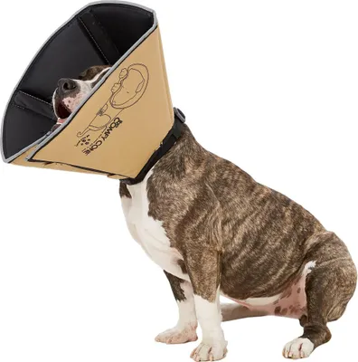 Immagine prodotto di Collare per cani All Four Paws Comfy Cone M 20 cm marrone chiaro