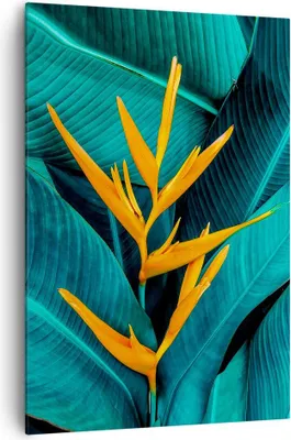 Produktbild von Bild auf Leinwand - Leinwandbild - Einteilig - Blumen Tropen Blätter - 70x100cm - Wand Bild - Wanddeko - Wandbilder - Leinwanddruck - Wanddekoration - Leinwand bilder - Wandbild - PA70x100-5116