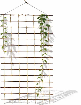 Produktbild von Floranica Rankhilfe 150 x 100cm Rankgitter Ranknetz aus Ökologische Weide für den Garten Balkon und Terrasse