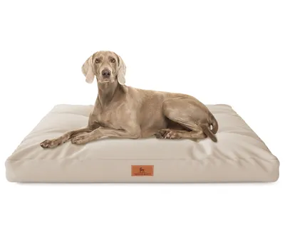 Produktbild von Knuffelwuff Hundekissen Gatsby aus Oxford-Gewebe 110x89cm Beige