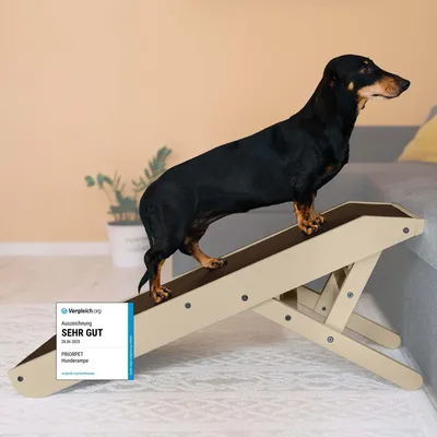 Produktbild von Hunderampe - Hundetreppe für kleine Hunde und große Hunde - Einstellbar 18 - 53 cm - Für Bett, Sofa - Birkenholz - Landeplattform schließt nahtlos an - Rampe Hund Klappbar - Anti-rutsch Einsatz Beige