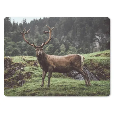 Produktbild von MuchoWow® Mauspad Mousepad Hirsch - Baum - Berg 40x30 cm - Mousepads - Maus Mat - Pad - Mausunterlage - Anti Rutsch