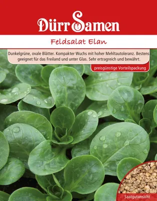 Produktbild von Dürr-Samen - Feldsalat Elan 250 g - Saatgut - 4108