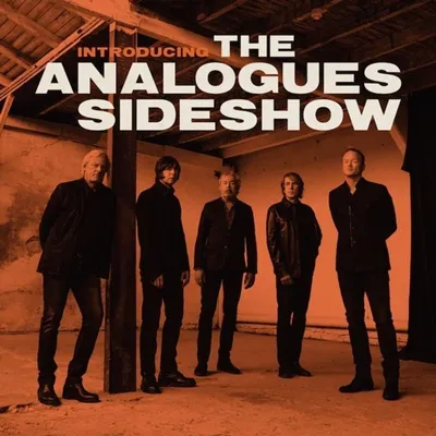 Zdjęcie produktu dla The Analogues Sideshow - Introducing The Analogues Sideshow (180g) - - (LP / I)
