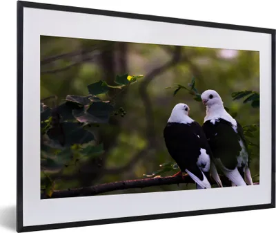 Produktbild von MuchoWow® MuchoWow® Gerahmtes Poster Vögel - Zweig - Blätter 60x40 cm - Poster mit zchwarzem Bilderrahmen - Schlafzimmer - Plakat in Rahmen - Drucken