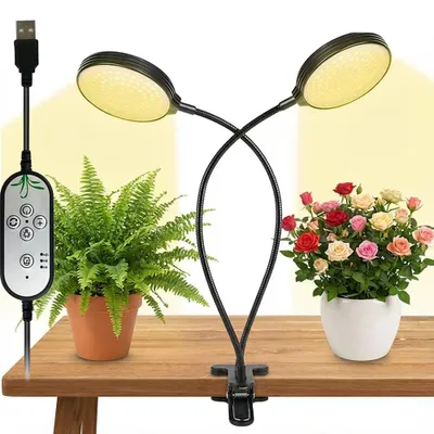 A dual-headed LED grow light with a clamp base is positioned on a wooden table, illuminating two potted plants: a fern and a rose bush.