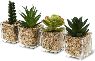 Image de Lot de 4 plantes artificielles dans des pots décoratifs en verre
