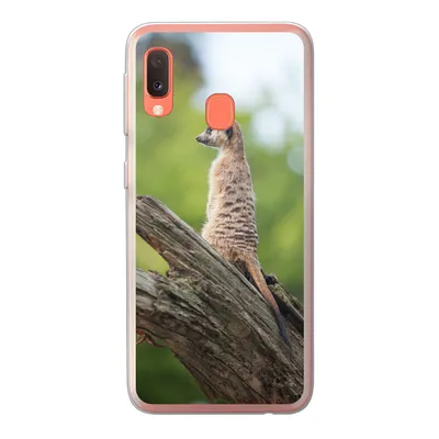 Produktbild von MuchoWow® Handyhülle Schutzhülle Hülle für Samsung Galaxy A20e Erdmännchen - Ast - Baum Silikon Softcase Handy Hülle - Abdeckung