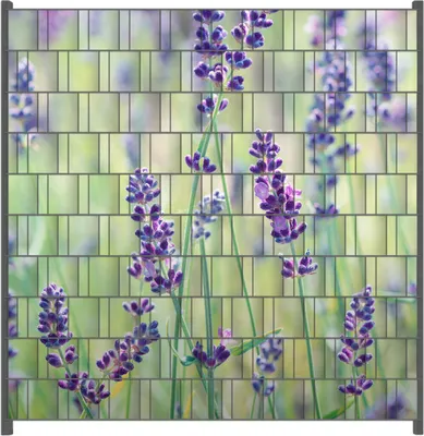 Produktbild von Wallario Zaunsichtschutz mit Motiv Lila Blumenfreude - Violette Pflanzen auf der Wiese für Ein- und Doppelstabmatten Zäune in der Größe 200 x 200 cm