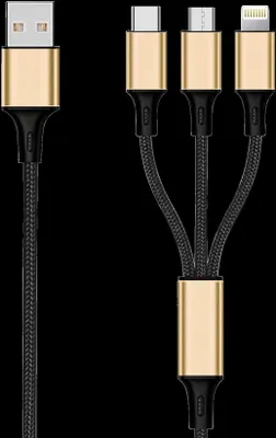 Produktbild von 2GO 797152, 3 m, USB B, USB C/Micro-USB B/Lightning, Schwarz, Gold