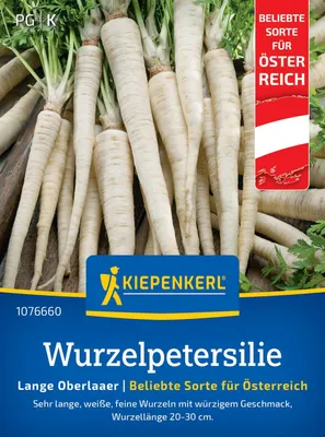 Artikelbild 2 von 'Wurzel Petersilie Lange Oberlaaer (Regional AT)'