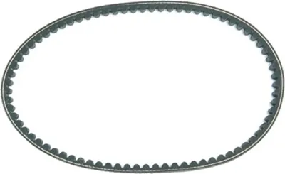Obrázek produktu pro Dayco Keilriemen Dayco 17,7X756 Mm