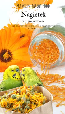 Immagine prodotto di Cibo Premium per pappagalli - Fiori di calendula - Calendula per tutti i pappagalli 25G