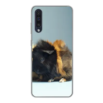 Produktbild von MuchoWow® Handyhülle Schutzhülle Hülle für Samsung Galaxy A30s Zwei kleine Meerschweinchen Silikon Softcase Handy Hülle - Karteninhaber