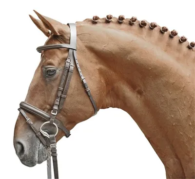 Produktbild von Reittrense -Lou-, Farbe:braun, Groesse:Shetty