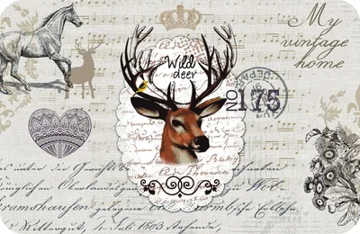 Produktbild von d-c-table® Tischset Rio Wild Deer 44 x 29 cm, braun