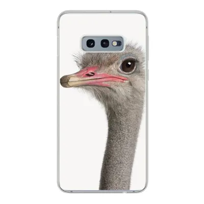 Produktbild von MuchoWow® Handyhülle Schutzhülle Hülle für Samsung Galaxy S10e Strauß - Tiere - Kinder - Jungen - Mädchen - Vogel Silikon Softcase Handy Hülle - Handy