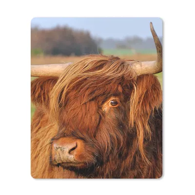 Produktbild von MuchoWow® Mauspad Mousepad Schottischer Highlander - Gras - Baum 30x40 cm - Mousepads - Maus Mat - Pad - Mausunterlage - Mausmatten