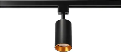 Image de Projecteur pour système de rail NALGA Tc Black Gold GU10 noir, anneau doré EDO777508 EDO