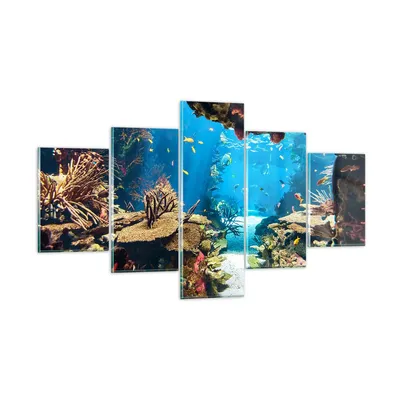 Produktbild von Bilder auf glas - Ozean Riff Fische Koralle - 125x70cm - Glasbilder - Wandbilder - Kunstdruck - zum Aufhängen bereit - Wanddekoration aus Glas - Glas Bilder - Wandbild auf Glas - GEA125x70-2872