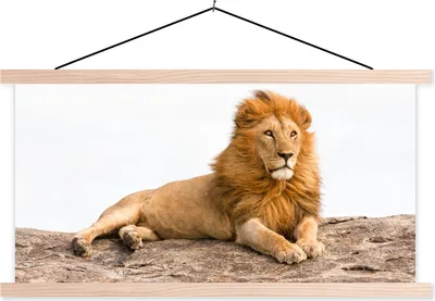 Produktbild von MuchoWow® Textilposter Löwe - Mähne - Tier 60x30 cm mit holzfarbenen Rahmen - Dekoration