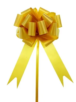 Geschenkschleifen 20 Stück, 20 cm, Gold, dekorativ