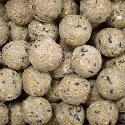 Obrázek produktu pro Sýkorka knedlíková Premium s hmyzem 200 x cca 90 g bez síťky Krmivo pro ptáky Krmivo pro volně žijící ptáky Tučné krmivo