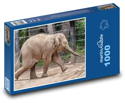 Zdjęcie produktu dla martinpuzzle - Puzzle 1000 elementów - Słoń