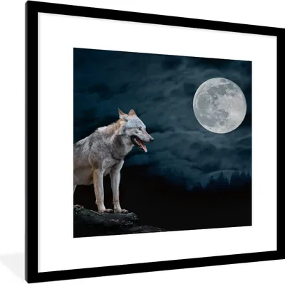 Produktbild von MuchoWow® Gerahmtes Poster Wolf - Mond - Nacht - Tiere - Porträt 40x40 cm - Poster mit Schwarzem Bilderrahmen Wandposter Rahmen Foto Bilder - Poster - Plakat im Rahmen