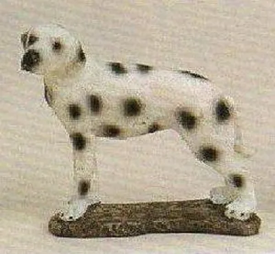 Der Dalmatiner Hund ist detailliert und zeigt die charakteristischen Flecken des Hundes.