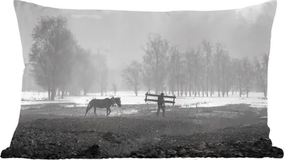 Produktbild von MuchoWow® Zierkissen Sofakissen Wohnzimmer Dekokissen 50x30 cm Pferd - Bauernhof - Schnee - Wohnzimmerdekoration - Polster mit Photo