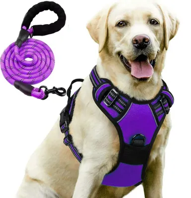 Image de Harnais pour Chien, Réglable Léger Respirant Anti-Traction Réfléchissant avec Laisse - Violet S
