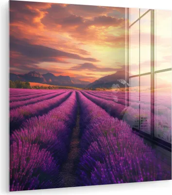 Produktbild von MuchoWow Glasbilder - Bilder auf Wandbild - Foto auf Glas Lavendelfeld - Sonnenuntergang - Lila 20x20 cm Wanddekoration aus Glas - Acrylglasbild - Acrylbilder - Bilder von Glas - Moderne
