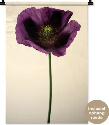 Produktbild von MuchoWow® Wandteppich Wandbehang Nahaufnahme eines violetten Mohns 60x90 cm Tapisserie Dekoration Wandtuch - Foto-Teppich - Abwaschbar