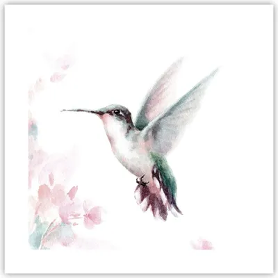 Produktbild von Poster - Poster ohne Rahmen - Kolibri Aquarell Licht - 40x40 cm - Wand Bild - Wanddeko - Wandbilder - Kunstposter - Wandposter - Bilder - Kunstdruck - Wanddekoration - Wandbild - P2XAC40x40-4518