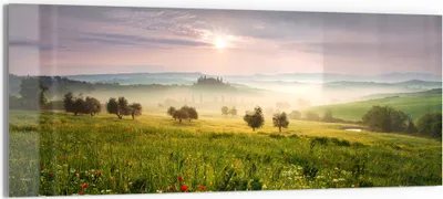 Produktbild von DEQORI Glasbild Echtglas 150x60 cm 'Idyllisches Morgenlicht' Wandbild Bild modern Deko