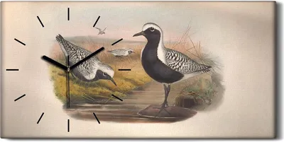Produktbild von Dekor Leinwand Uhr Wandbilder Geräuschlos 60x30 Vögel Wild Tiere Zeichnung Kunst - schwarze Hände