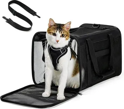 Produktbild von Kleine Katzenbox, zusammenklappbar, 6 kg, Flugzeuggeeignet