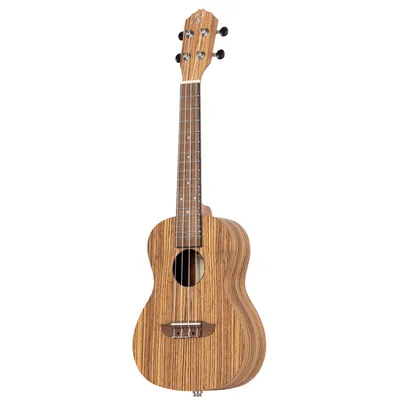 Produktbild von Ortega RFU11ZE-L Lefthand