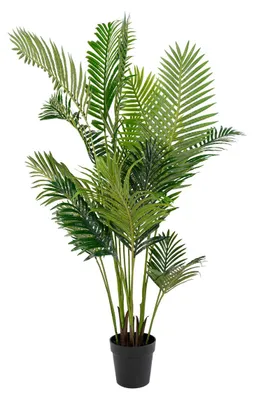 Immagine prodotto di Palma areca artificiale verde H 175 cm