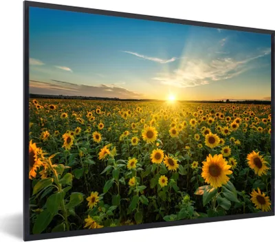 Produktbild von MuchoWow® Gerahmtes Poster Sonnenuntergang - Blumen - Sonnenblume - Horizont - Landschaft 80x60 cm - Poster mit Schwarzem Bilderrahmen Wandposter Rahmen Foto Bilder - Schwarzem - Mit Gestell