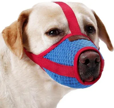 Produktbild von Anti-biss-Maulkorb für große Hunde | Anti-bellen, beißen und kauen | Weich und bequem | Geeignet für kleine, mittelgroße und große Hunde | mit Soft-Material