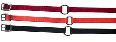 Produktbild von Hundehalsband Prism Select aus Nylon 2,5 cm breit  Halsband für Hunde  Halsband Hund in Rot & 19