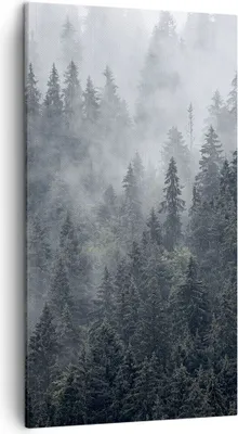 Produktbild von Bild auf Leinwand - Leinwandbild - Wald Baum Natur - 45x80cm - Wand Bild - Wanddeko - Wandbilder - Leinwanddruck - Bilder - Kunstdruck - Wanddekoration - Leinwand bilder - Wandkunst - PA45x80-4074