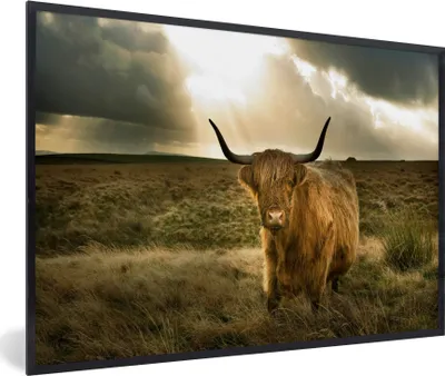 Produktbild von MuchoWow® Gerahmtes Poster Schottischer Hochländer - Sonne - Tiere 60x40 cm - Poster mit Schwarzem Bilderrahmen Wandposter Rahmen Foto Bilder - Printing - Wanddeko Schlafzimmer