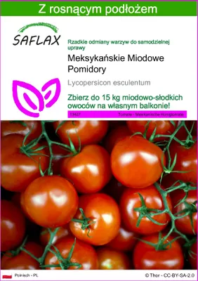 Zdjęcie produktu dla SAFLAX - Meksykańskie Miodowe Pomidory - 10 Nasiona - Z podłożem uprawowym wolnym od zarazków - Lycopersicon esculentum